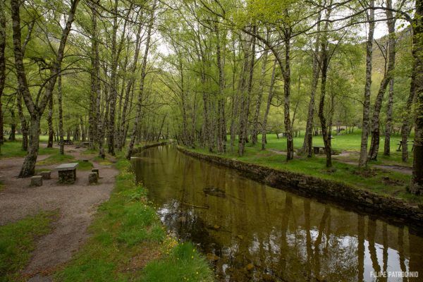 Serra da Estrela