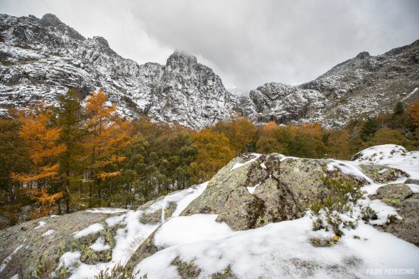 Serra da Estrela