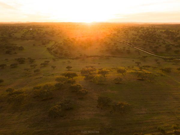 Alentejo