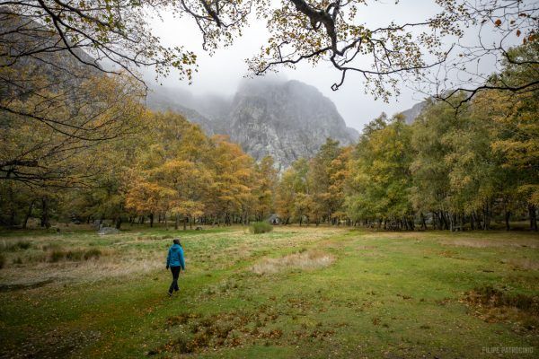 Serra da Estrela