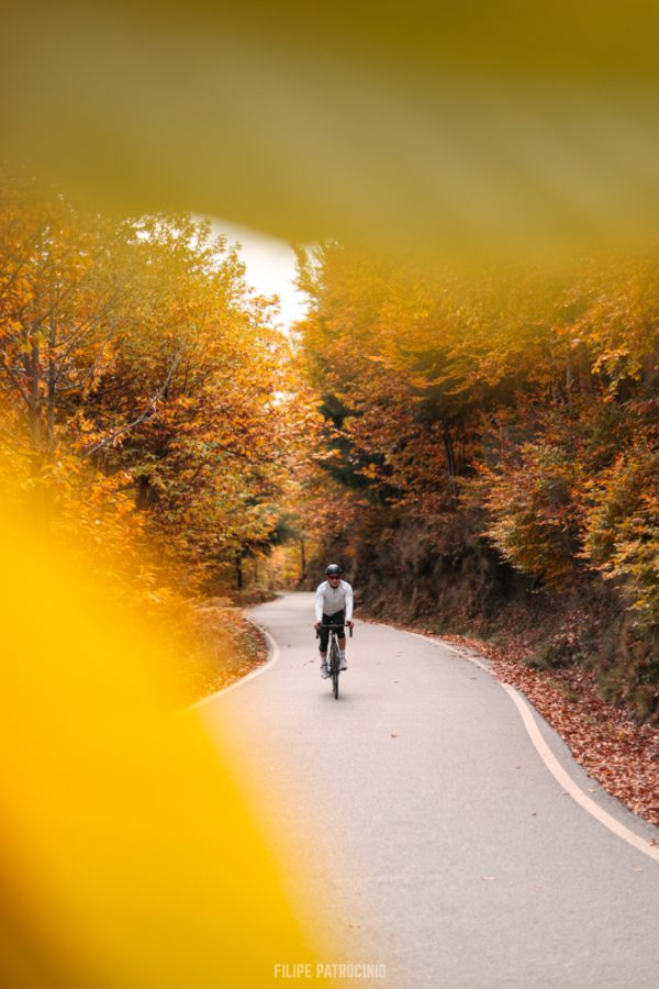 Cycling